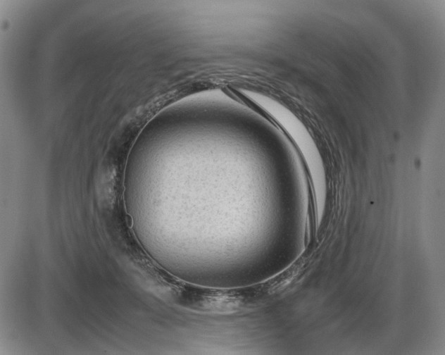 X0000086060319200703301047