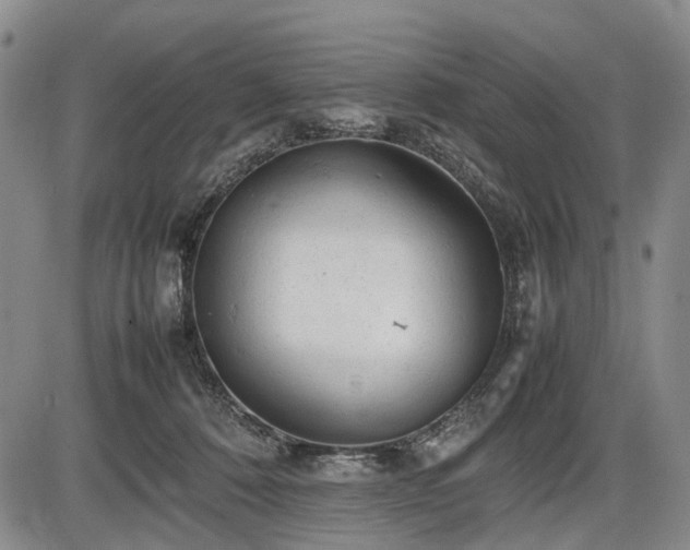 X0000086060320200703301047