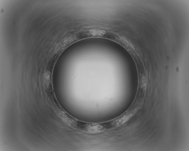 X0000086060321200703301047