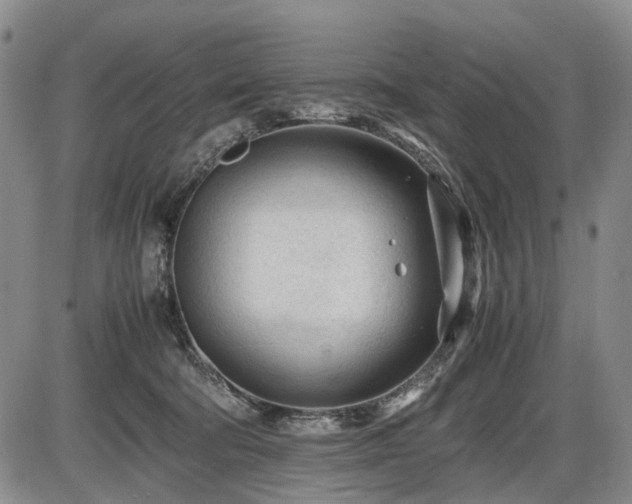 X0000086060322200703301047