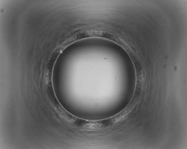 X0000086060323200703301047