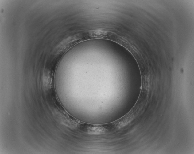 X0000086060324200703301047