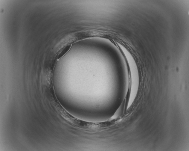 X0000086060325200703301047