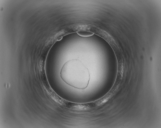 X0000086060326200703301047