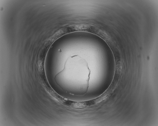 X0000086060327200703301047