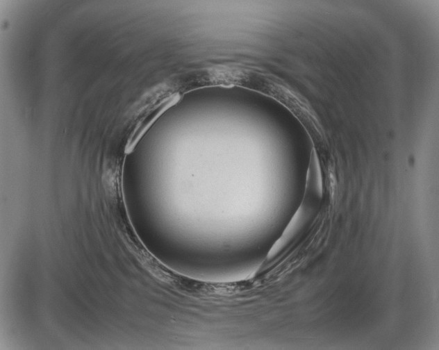 X0000086060329200703301047