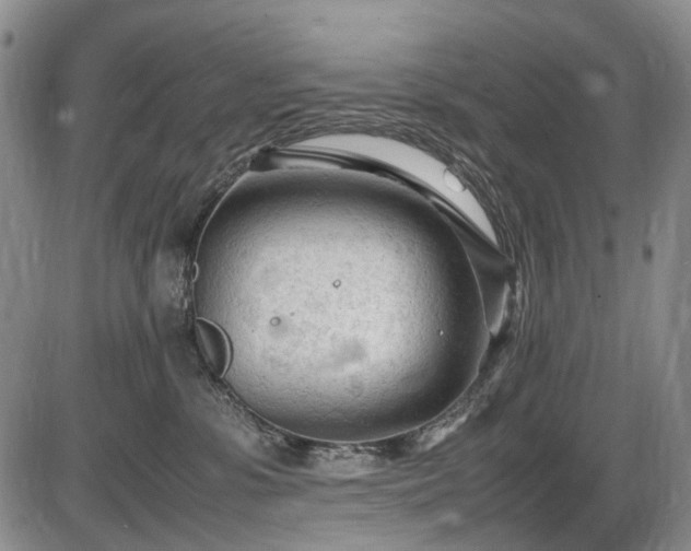 X0000086060331200703301047