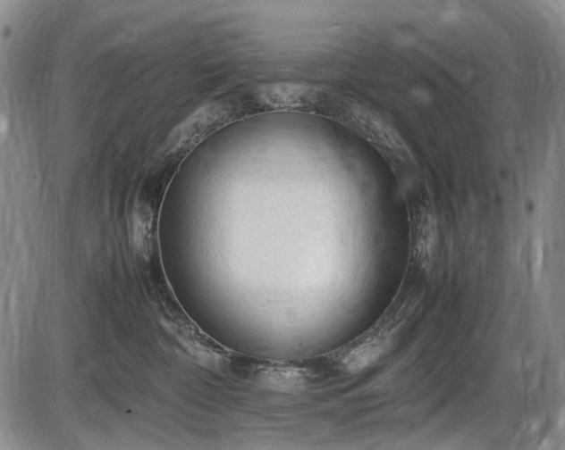 X0000086060332200703301047