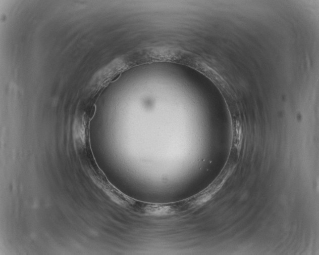 X0000086060334200703301047