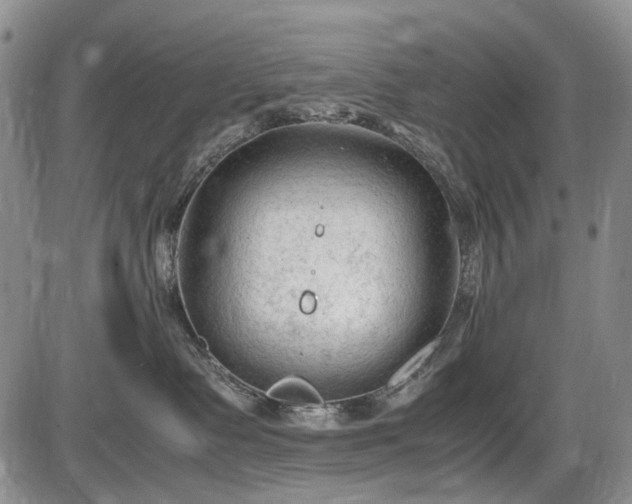 X0000086060335200703301047