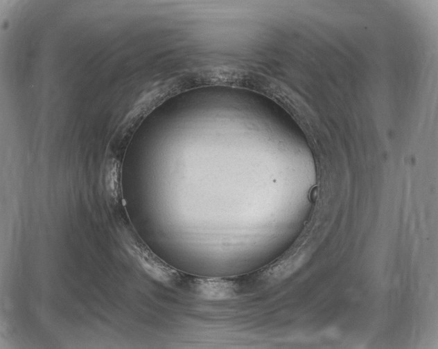 X0000086060336200703301047