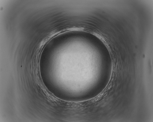 X0000086060337200703301046