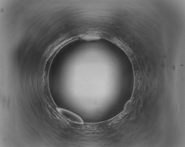 X0000086060338200703301046