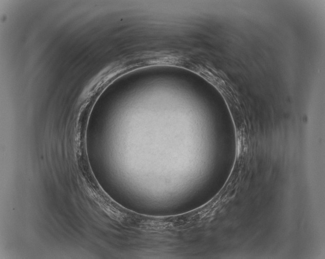 X0000086060339200703301046