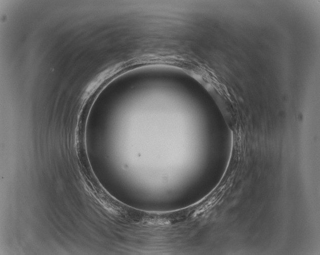 X0000086060340200703301046