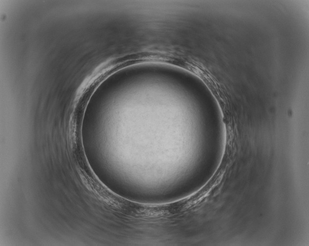 X0000086060343200703301046