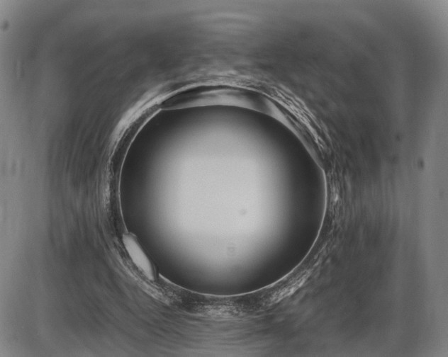 X0000086060344200703301046