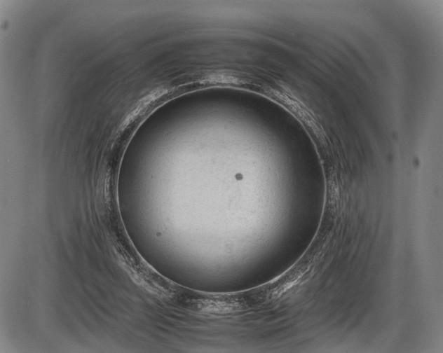 X0000086060347200703301046