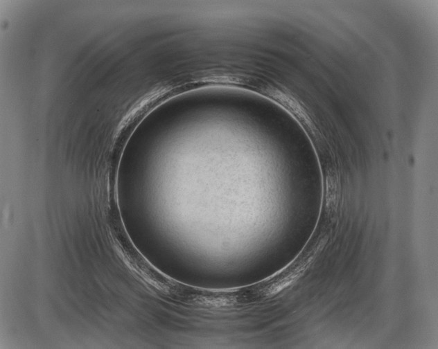 X0000086060349200703301046