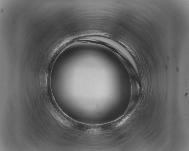 X0000086060350200703301046