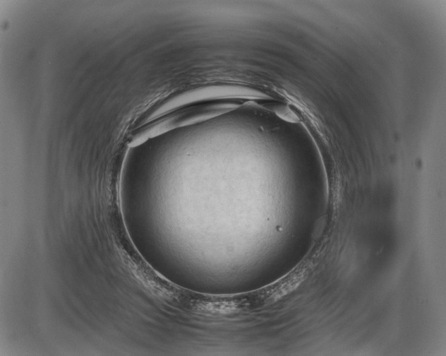 X0000086060353200703301046