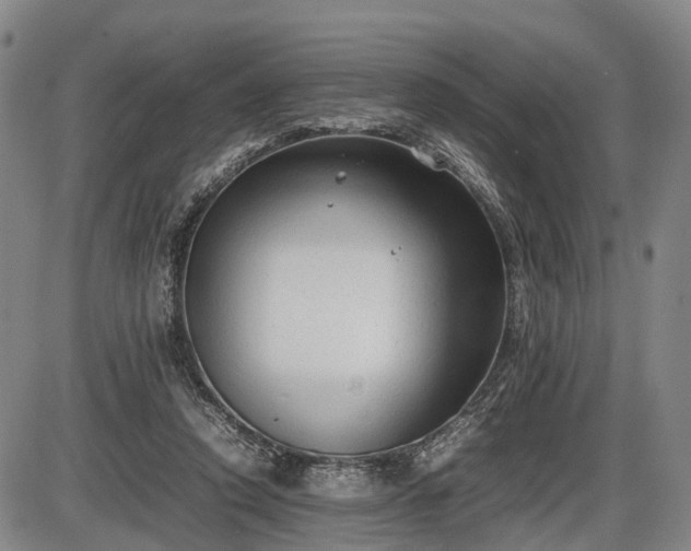 X0000086060354200703301046