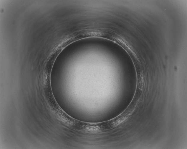 X0000086060355200703301047