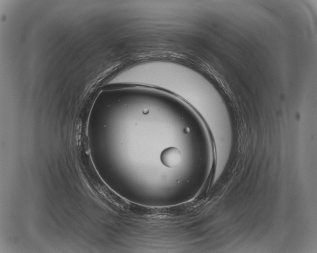 X0000086060356200703301047