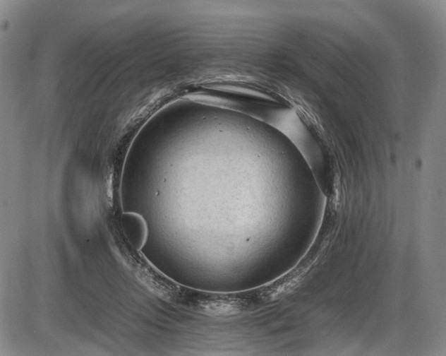 X0000086060358200703301047