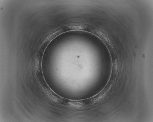 X0000086060359200703301047