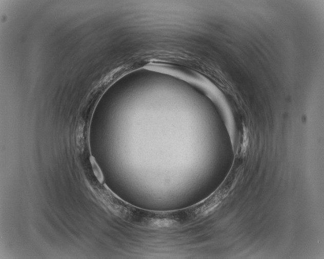 X0000086060360200703301047