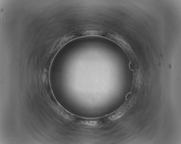 X0000086060361200703301047