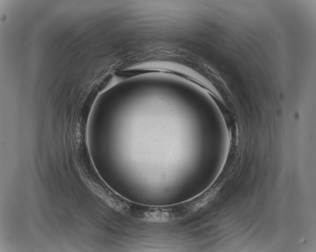 X0000086060362200703301047