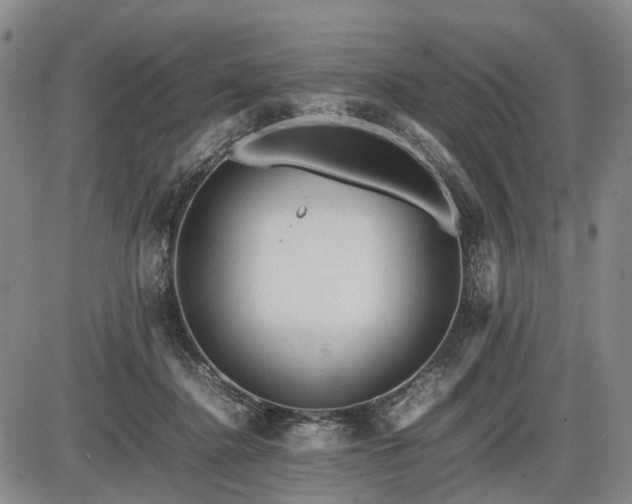 X0000086060364200703301047