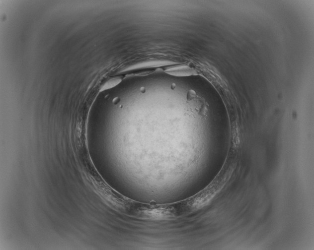 X0000086060365200703301047