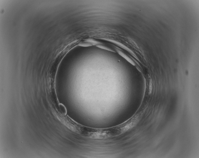 X0000086060366200703301047