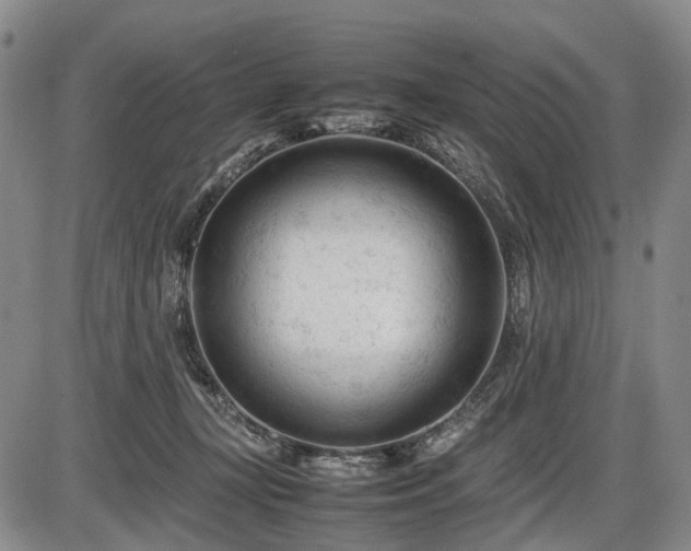 X0000086060367200703301047