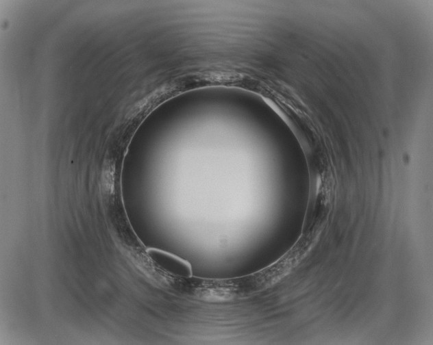 X0000086060368200703301047