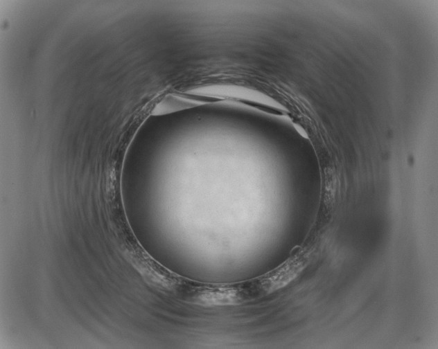 X0000086060369200703301047