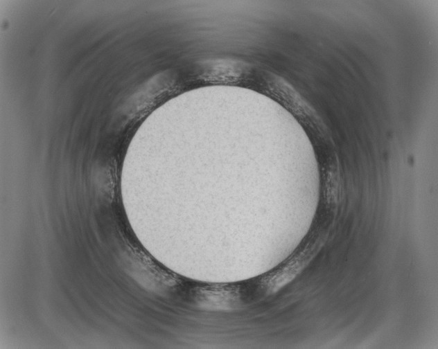 X0000086060370200703301047