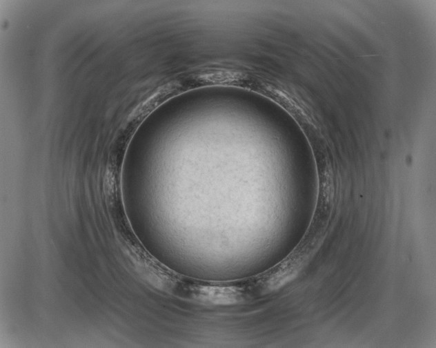 X0000086060371200703301047