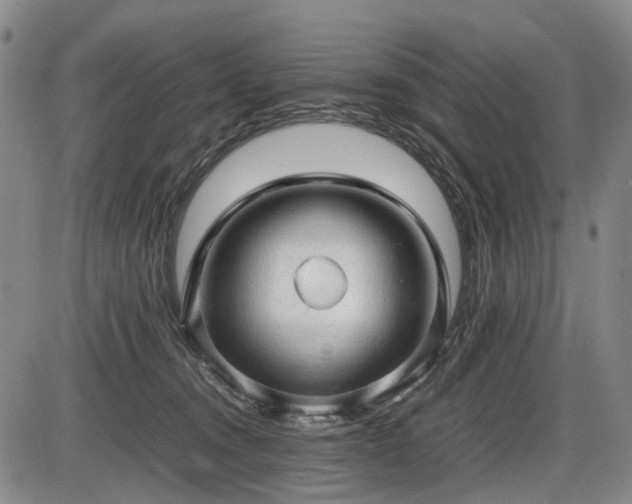 X0000086060372200703301047