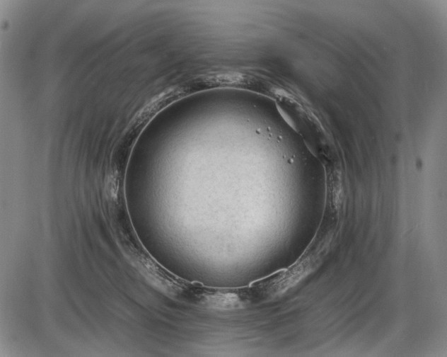 X0000086060374200703301047