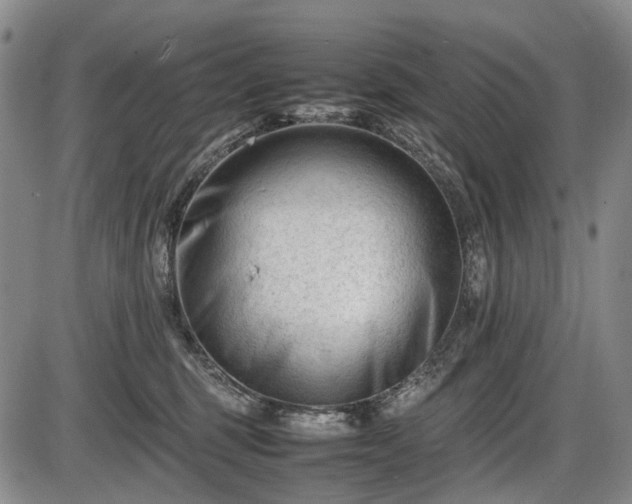 X0000086060375200703301047