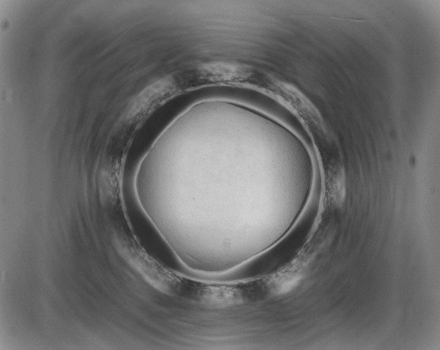 X0000086060376200703301047