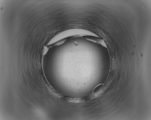 X0000086060377200703301047