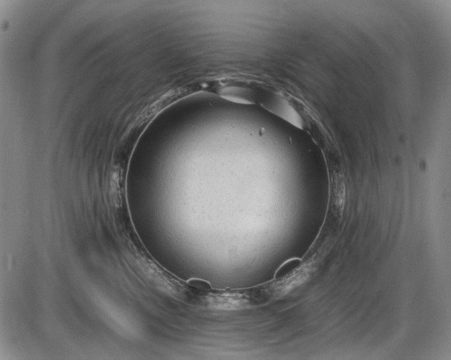 X0000086060378200703301047