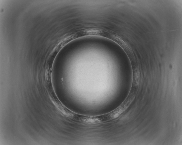 X0000086060379200703301047