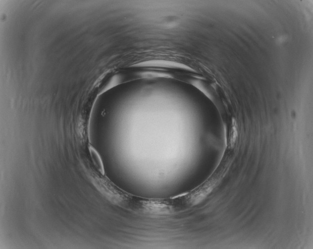 X0000086060380200703301047