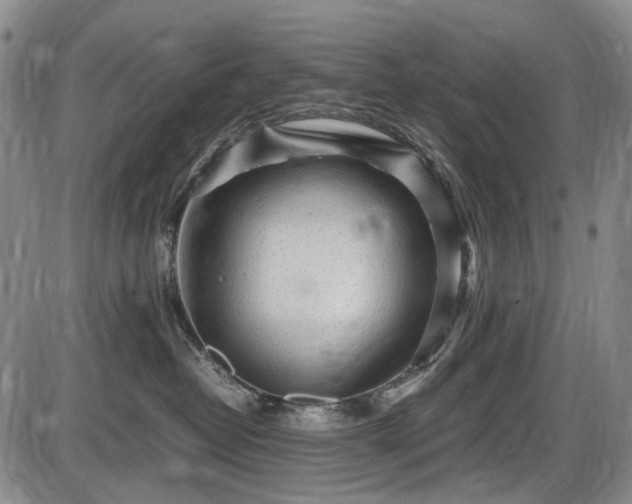 X0000086060382200703301047